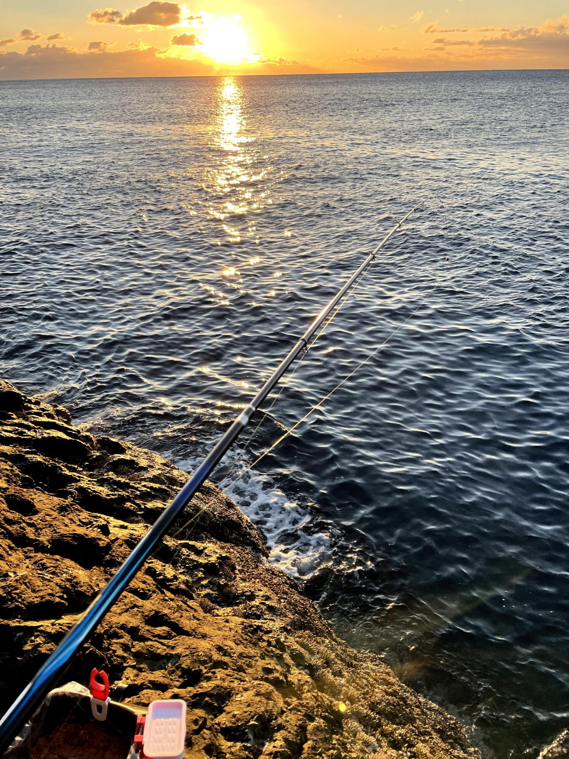 尾鷲の寒グレ そろそろ今年最初のグレが釣りたい 平凡サラリーマンの東海フカセ釣行記